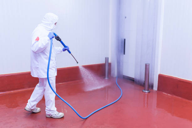 Best Building Exterior Pressure Washing in Mexico, MO